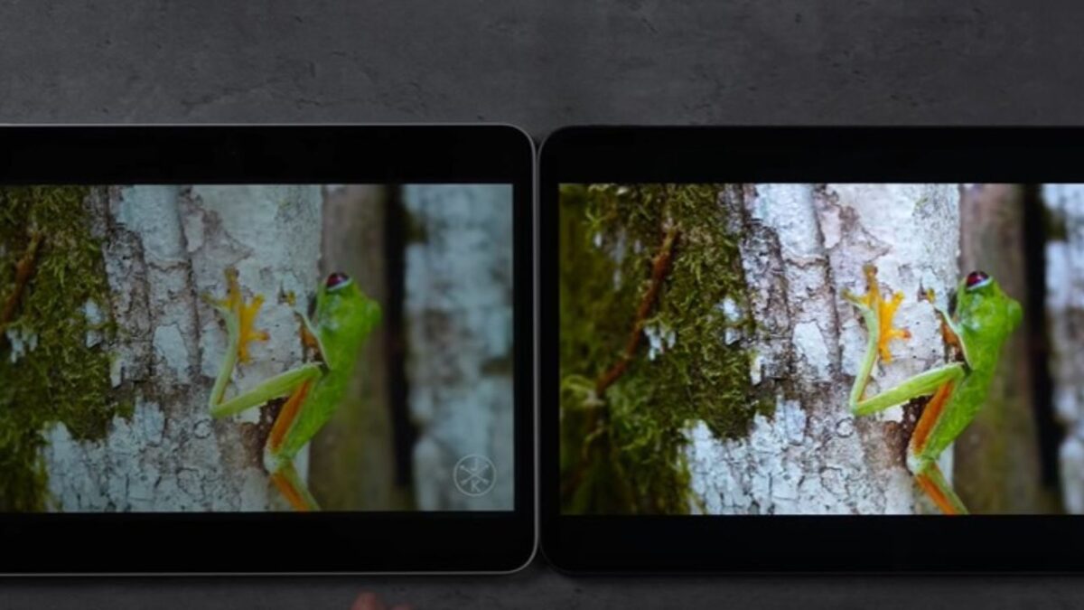 M2 vs M4 iPad Pro: Display: LCD vs OLED